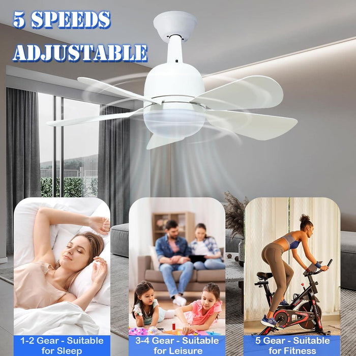 20 in. Quiet Ceiling Fans for Kitchen Bedroom Living Room Fan and Small Rooms, Socket Remote Control Ceiling Fan and Light-4-ErisView