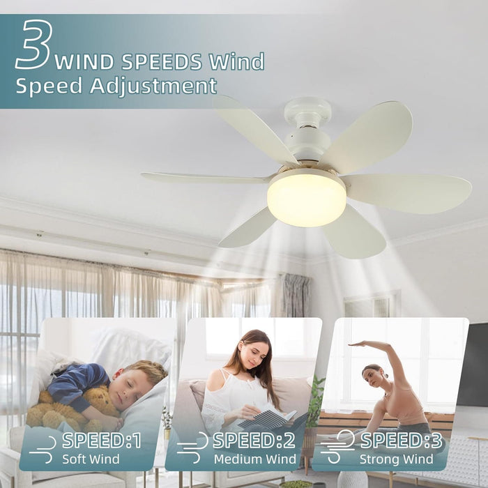 20 in. Socket Remote Ceiling Fan with Light, White Screw in. Dimmable Ceiling Fan-6-ErisView