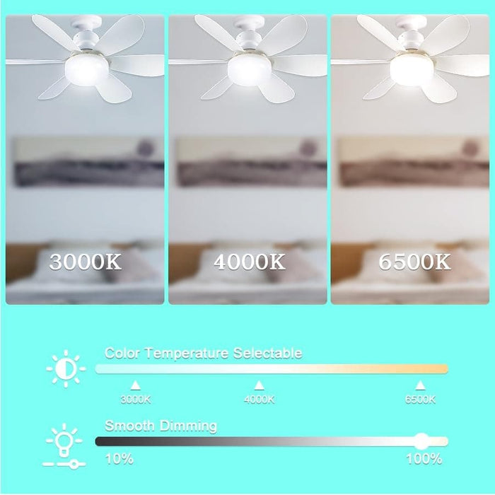 20 in. Socket Remote Control Ceiling Fan and Light, LED Mini Ceiling Fan for Bedroom Living Room Kitchen Balcony -5-ErisView