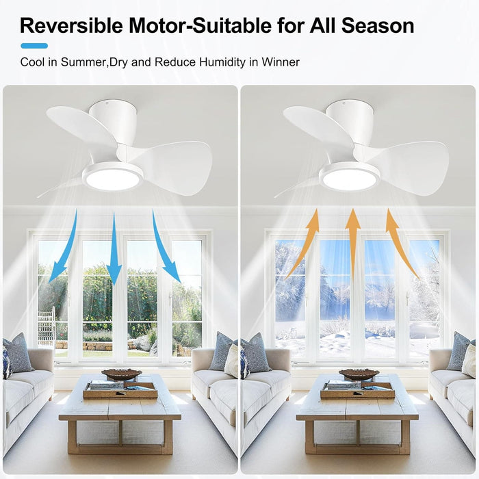 24 in. Remote Control Ceiling Fan and Light, Bedroom Kitchen Living Room Apartment Ceiling Fans for Low Ceiling-5-ErisView