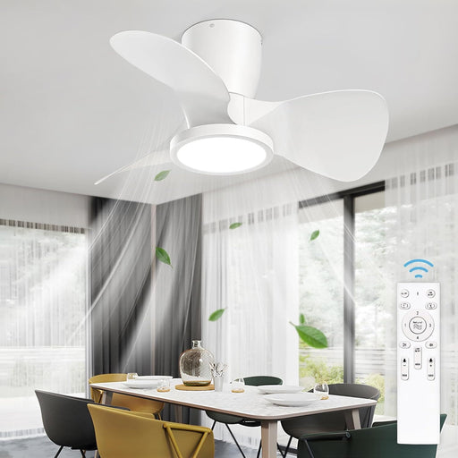 24 in. Remote Control Ceiling Fan and Light, Bedroom Kitchen Living Room Apartment Ceiling Fans for Low Ceiling-1-ErisView