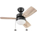 30 in. Contemporary Ceiling Fan, Indoor LED Ceiling Fan with Light, Pull Chain, Reversible Fan for Summer Winter, Bronze Modern Fan with Light-1-ErisView