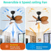 30 in. Reversible DC Ceiling Fan, Tropical Ceiling Fan, Remote Control Ceiling Fan and Light, Quiet Palm Leaf Ceiling Fan, Covered Ceiling Fan -4-ErisView