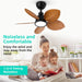 30 in. Reversible DC Ceiling Fan, Tropical Ceiling Fan, Remote Control Ceiling Fan and Light, Quiet Palm Leaf Ceiling Fan, Covered Ceiling Fan -5-ErisView