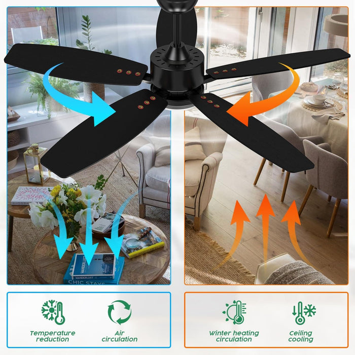 42 in. Indoor Outdoor Small Black Ceiling Fan with Remote, Reversible Modern Fan Light for Bedroom Living Room Kitchen -6-ErisView