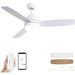 48 in. Low Profile Ceiling Fan with 2 Rods, Remote Control Ceiling Fan and Light APP Control, Indoor Outdoor Wood Ceiling Fan with Two Side Blades-1-ErisView