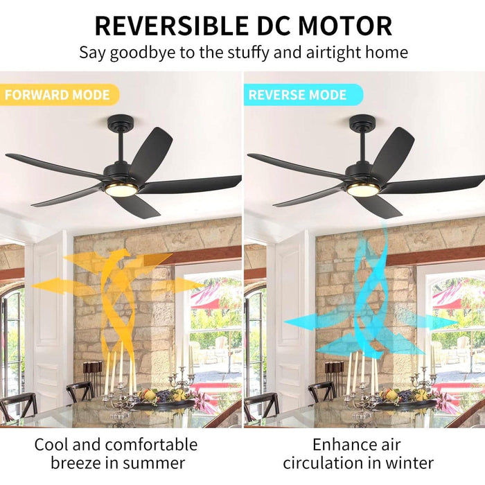 52 in. Black Ceiling Fan with Light, Modern Ceiling Fan for Living Room, Bedroom, Dimmable Outdoor Ceiling Fans -2-ErisView