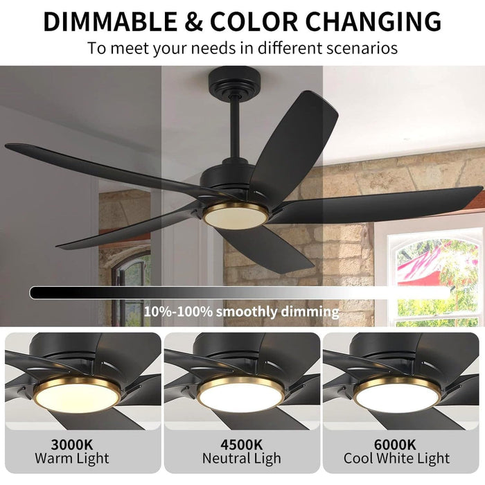 52 in. Black Ceiling Fan with Light, Modern Ceiling Fan for Living Room, Bedroom, Dimmable Outdoor Ceiling Fans -3-ErisView