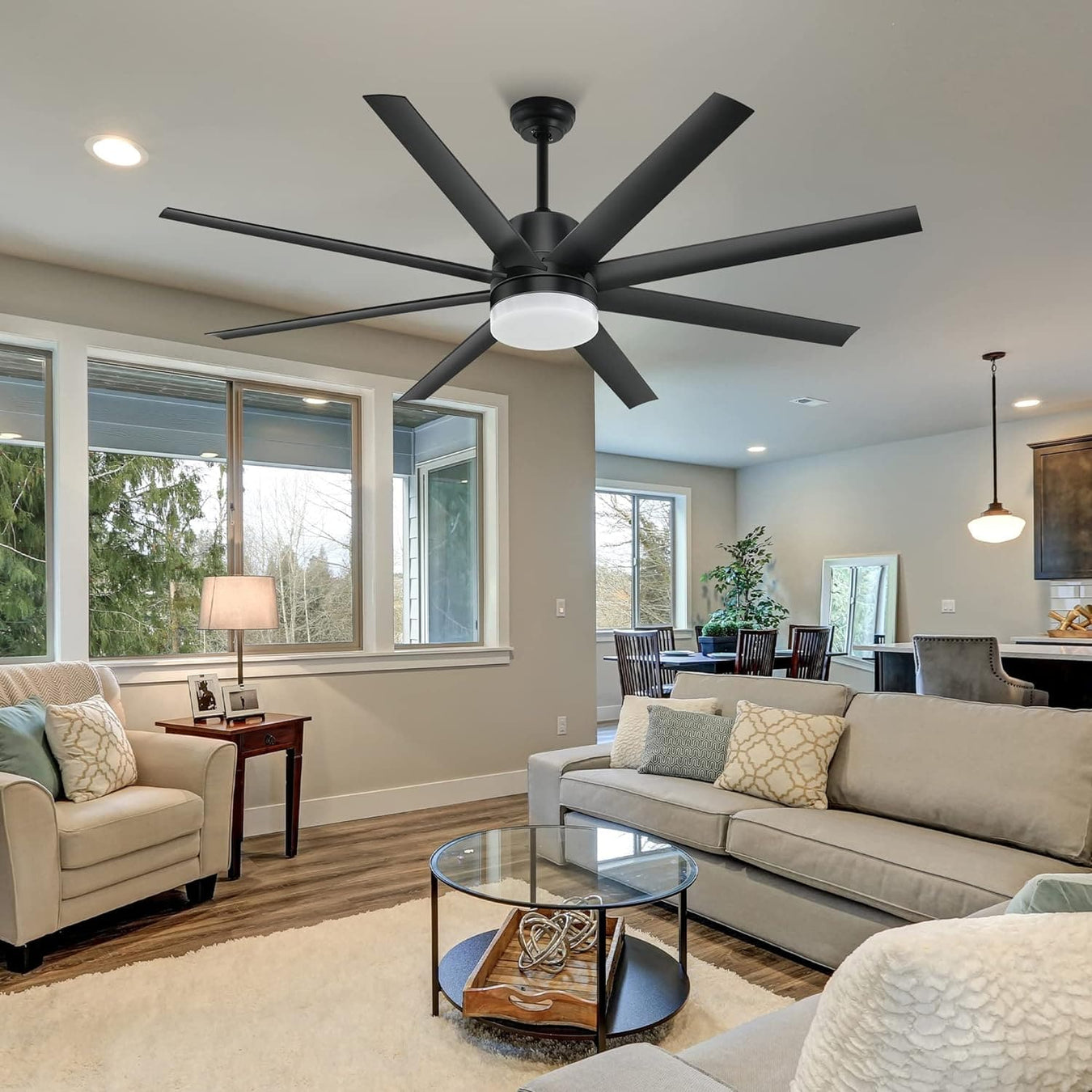 Modern Black Ceiling Fan with Light