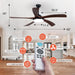 60 in. Ceiling Fan with Lights, Modern 5 Blade Ceiling Fan with Low Profile Light, Flush Mount Reversible Quiet Ceiling Fans-6-ErisView