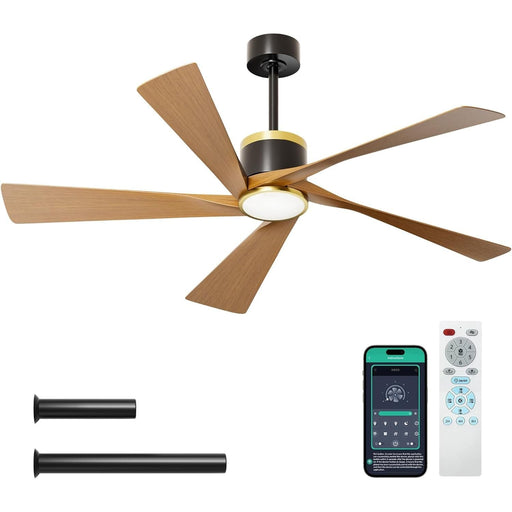 65 in. Indoor Outdoor Ceiling Fan with Light and Remote APP Control, 5 Blades Reversible Dimmable Noiseless Black Outdoor Fan Gold Ceiling Fan-1-ErisView