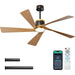 65 in. Indoor Outdoor Ceiling Fan with Light and Remote APP Control, 5 Blades Reversible Dimmable Noiseless Black Outdoor Fan Gold Ceiling Fan-1-ErisView