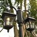 Durable Aluminum Outdoor Post Lights with High Transmittance Glass Lampshade, Waterproof, Rust-Proof, and Weather-Resistant for Home Landscape-ErisView-4