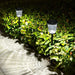 Durable Solar Pathway Light with Automatic Charging, Waterproof Design, and Multi-Use for Garden, Lawn, Camping, and Night Lighting-ErisView-8