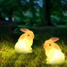 Elegant Hand-Carved Resin Rabbit Lawn Lamp with E27 Bulb, Durable, Waterproof Outdoor Light for a Natural and Exquisite Garden Ambiance-ErisView-14