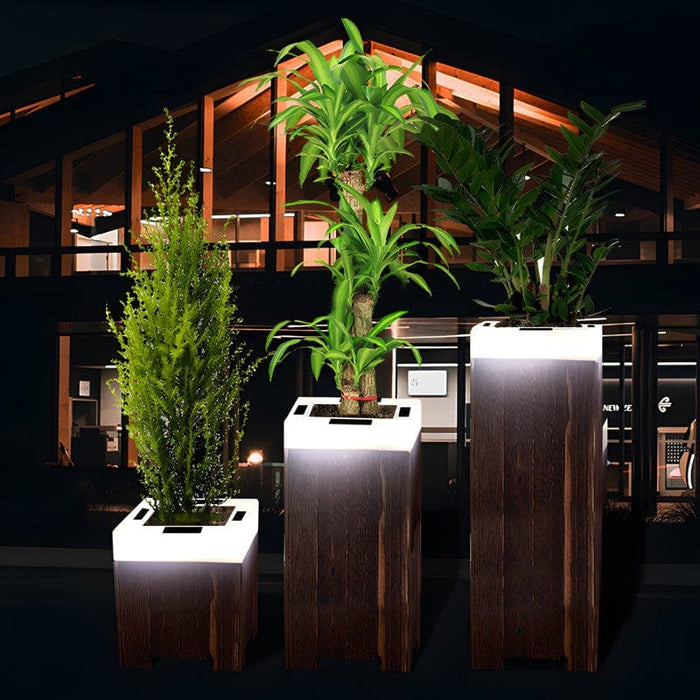 Exquisitely Crafted Solar Flower Pot Lights, Waterproof, Rustproof, Long-Lasting Outdoor Lamps with Warm White & RGB Options in 3 Sizes-ErisView-2