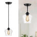 Glass Pendant Lights for Dining Room, Globe Kitchen Island Pendant Lights Fixture, Black Pendant Light ErisView