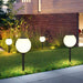 High-Efficiency Waterproof Solar Garden Lights for Outdoor Pathways and Yards, Bright, Durable, and Reliable Lighting for All Weather Conditions-ErisView-3