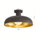 Industrial Black Flush Mount Light, Globe Semi Flush Mount Light Ceiling Light for Entryway Hallway Foyer ErisView