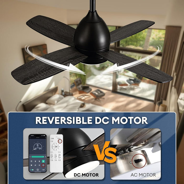 Low Profile Remote Control Ceiling Fan and Light, Reversible Quiet Ceiling Fans, Black Bedroom Ceiling Fans, Outdoor Fan for Patio-9-ErisView