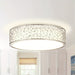 Modern LED Flush Mount Light, White Round Ceiling Light Fixture with Cage ErisView