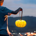 Outdoor Pumpkin-Shaped Resin Garden Lamp with IP65 Waterproof Rating, LED Light Source, and Durable Leather Handle for Playful and Reliable Yard Lighting-ErisView-4