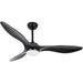 Remote Control Ceiling Fan and Light, Indoor Outdoor Black Ceiling Fan, Reversible Quiet Ceiling Fans, 3 Blade Low Profile Ceiling Fan-1-ErisView