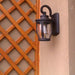 Retro Exterior Wall Lamp, Durable Die-Cast Aluminum, Waterproof, Rust-Proof, Art Glass Lampshade, Perfect for Outdoor Romantic Ambiance-ErisView-3