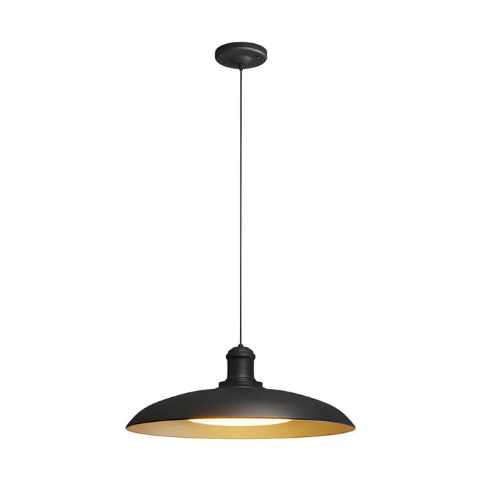 Rustic Black Outdoor Pendant Light with Durable Carbide Steel, Saucer-Shaped Shade, and Warm White LED for Garden or Balcony, 2 Sizes-ErisView-5