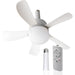 Small Ceiling Fan with Lights and Remote, Screw In Light Socket Fan-1-ErisView