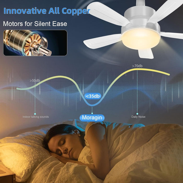 Socket Fan Ceiling Fan with Light Remote Control, Screw In Light Bulb Ceiling Fan, Small Ceiling Fan with Light Bedroom Living Room with Light-3-ErisView