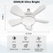 Socket Fan Light with Remote, Quiet Ceiling Fans, Dimmable Bedroom Ceiling Fans, Kitchen Fans with Lights, Living Room Fan-6-ErisView