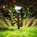 Solar Pathway Light with Auto On/Off, Overcharge Protection, High Brightness LED, and Easy Installation for Charming Outdoor Spaces-ErisView-2