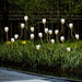 Stainless Steel and Glass Garden Lawn Lamps, Waterproof, Rust-Proof, and Festive Outdoor Decoration for Patio, Lawn, Walkway, and Events-ErisView-6