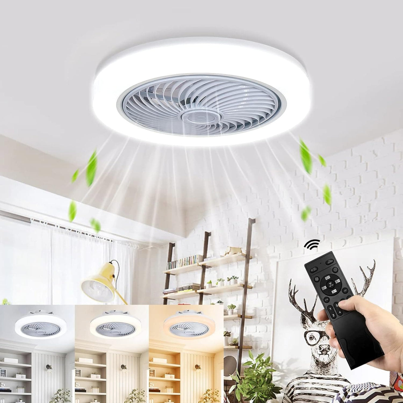 Modern Ceiling Fans